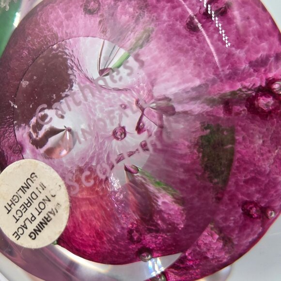 Caithness Glass Windfall Ruby Apple Paperweight Scotland Teacher Nature Decor - Picture 14 of 14